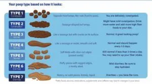 A chart showing seven stool types on the Bristol Stool Scale, ranging from hard lumps indicating constipation to watery stool indicating diarrhea.