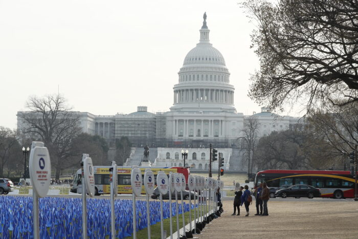 Capitol in background of United in Blue Installation Call-on Congress 2022
