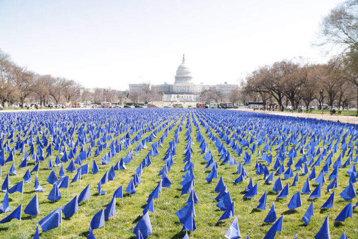 United in Blue Flags in front of Capitol Building Call-on Congress 2022