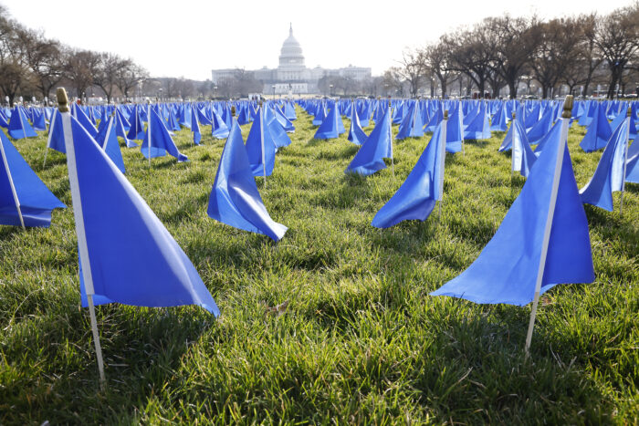 United in Blue Flags