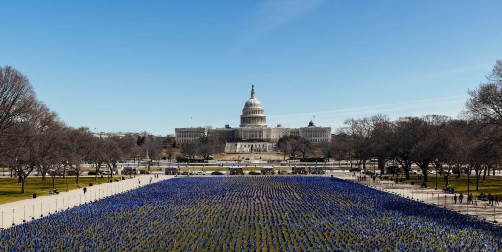 blue flags on the national mall in DC