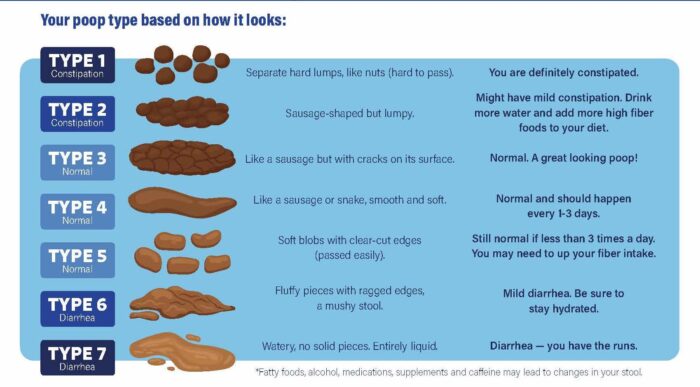 Bristol Stool Chart