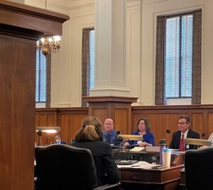 testifying-at-nj-state-senate-theresa